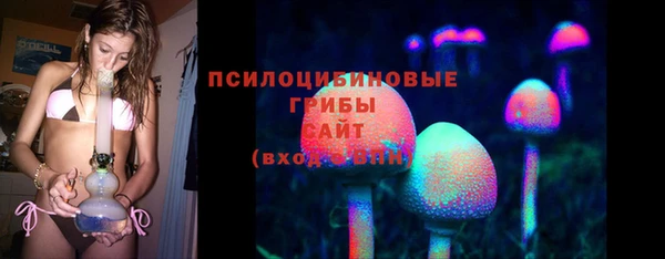 бошки Абаза