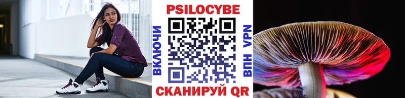 Псилоцибиновые грибы Magic Shrooms Черкесск